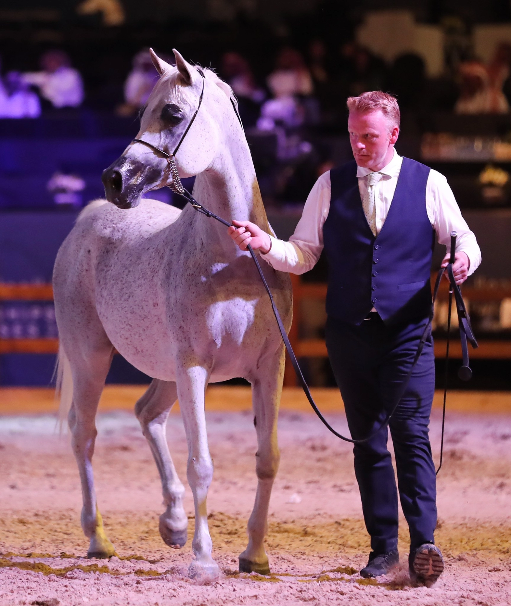 Halter Training Centers